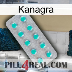 Kanagra 28